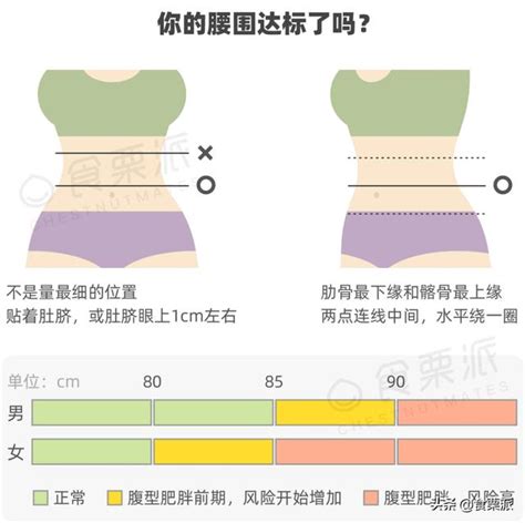 標準腰圍計算